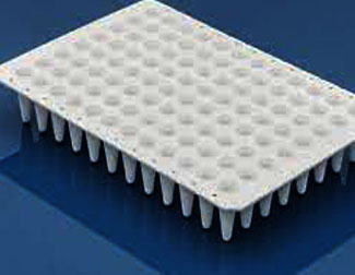 0.1ml 96wells PCR Plate, None-Skirted